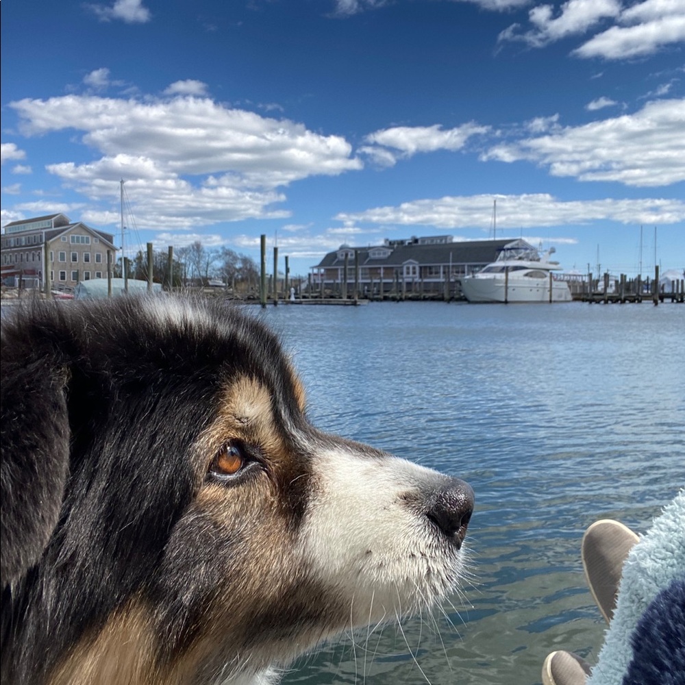 Meet your Posher, Eve